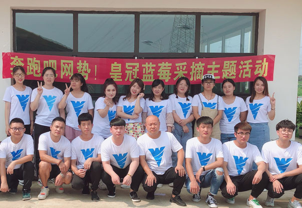 【奔跑吧網勢！】藍莓采摘主題團建活動